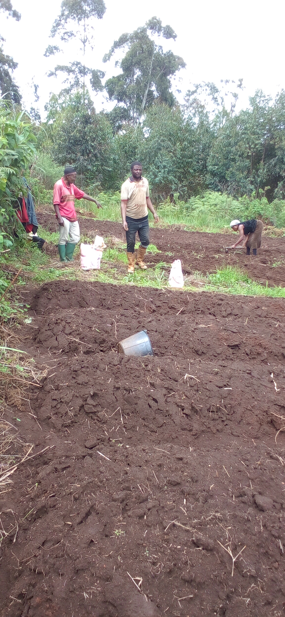 Sensitization of Wheat Production and Organic Farming in Banten / Mbosha, and Lông / Diyri Villages from the 10th - 11th and 17th - 18th July 2022 